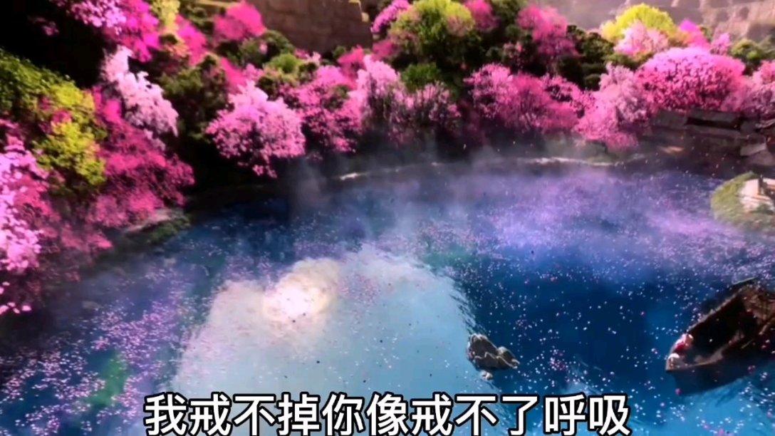 20240129南安新闻-迎新春义写春联