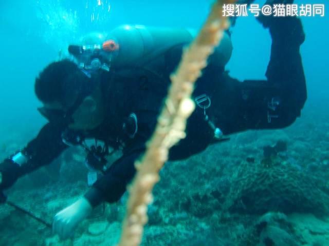 曝光！赵丽颖神秘整容项目揭秘，颠覆你对她的认知！